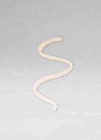 INVISIBLE EXTREME PLUMPING LIP LINER